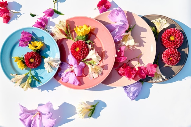 Piatti di diversi colori con fiori colorati isolati su sfondo bianco