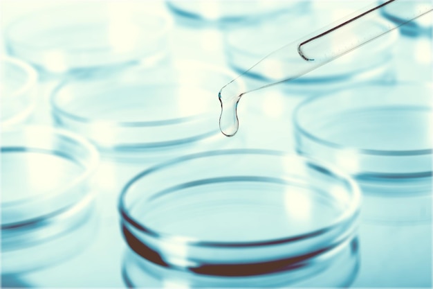 Piatti di Petri astratti con cosmetici Scienza concetto di laboratorio cosmetico Ricerca cosmetologica