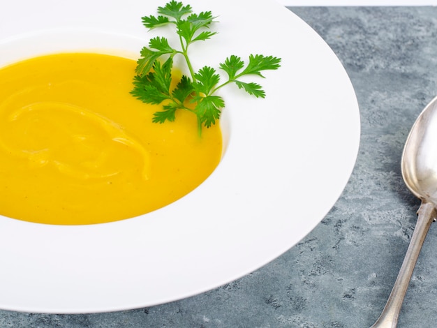 Piatto bianco con zuppa di crema di zucca densa. Foto in studio