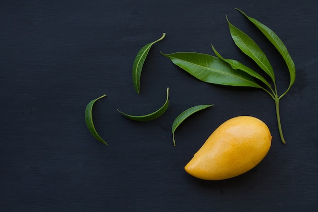 Piatto di laici maturi frutti di mango con foglia su sfondo nero