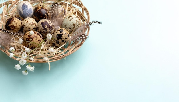 Piatto di vimini con uova di quaglia piume fiori di gipsofila sull'immagine di Pasqua azzurro Copia spazio