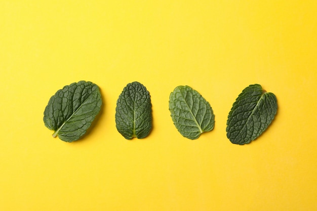 Piatto disteso con menta su giallo, spazio per il testo