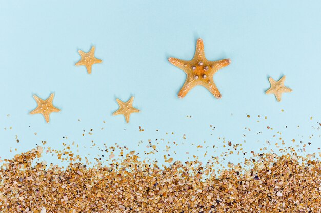 Piatto estivo con stelle marine e sabbia su colori pastello blu Summertime o concetto di spiaggia