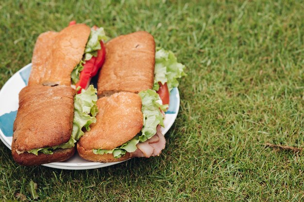 Piatto grande del primo piano con panino fresco appetitoso su erba verde. Incredibile e gustoso fast food pronto per godersi il pasto al picnic all'aperto sul prato verde estivo