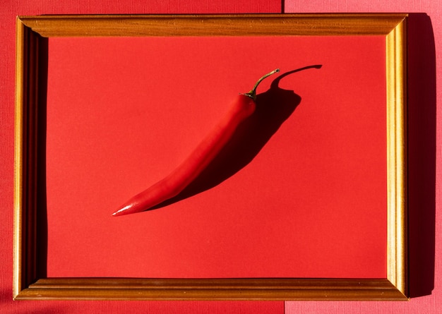Piatto laici peperoncino rosso caldo fresco in una cornice su sfondo rosso.