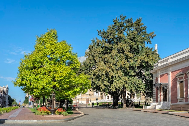 Piazza del Teatro a Odessa Ucraina