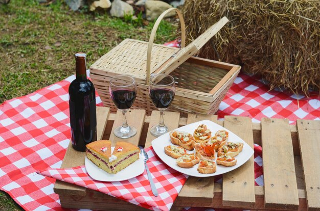 Pic-nic all'aperto con tovaglia a quadretti e cestino per alimenti.