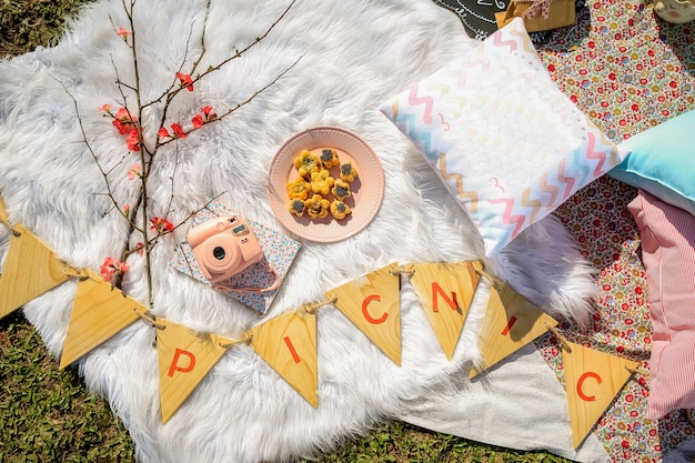 Pic-nic sul tappeto con cuscini e cibo nel parco. Macchina fotografica d'epoca, biscotti e fiori.