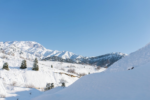 Picchi di montagna del Tien Shan coperti di neve. Beldersay Resort