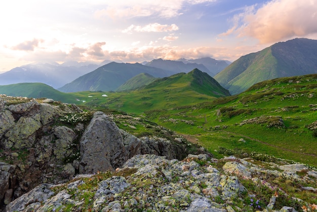 Picchi di montagna verdi Strati di montagne nella foschia durante il tramonto Rocce e fiori