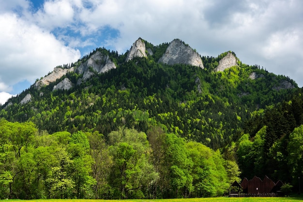 Picco dei Monti Pieniny in Polonia in primavera