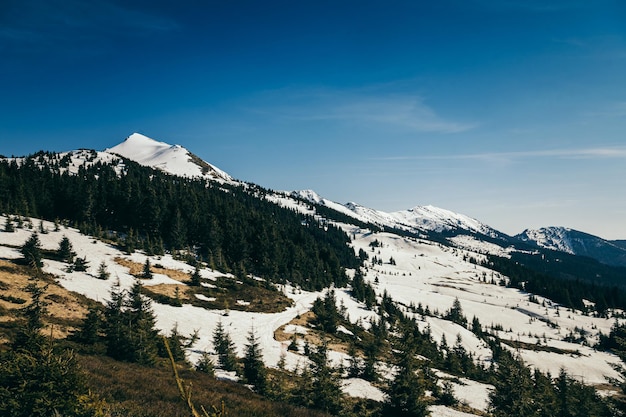 Picco innevato nelle montagne e primavera del prato innevato