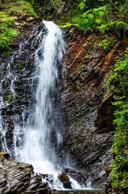 Piccola, bella cascata nei Carpazi in estate