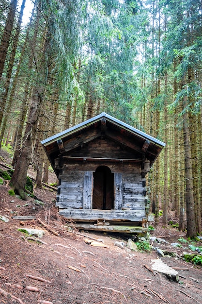 Piccola cabina di legno abbandonata in una profonda foresta di abeti scuri