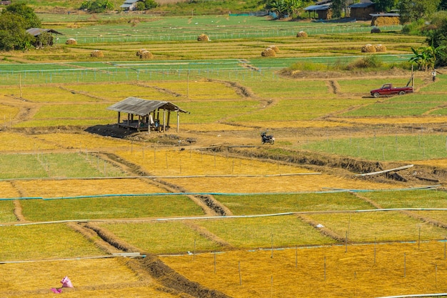 Piccola capanna nel campo di aglio a Pai, in Thailandia