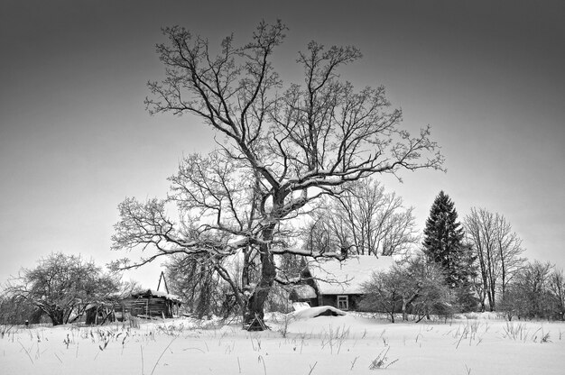 Piccola casa forestale in legno coperta di neve