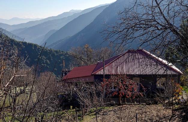 Piccola casa in montagna con un giardino in primo piano