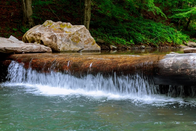 Piccola cascata di montagna sulle rocce ricoperte di muschio nella foresta