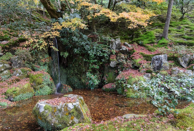 Piccola cascata giardino con foglie di acero cadute per motivi al tempio Ginkakuji a kyoto, Giappone