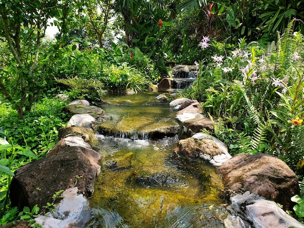 Piccola cascata in giardino