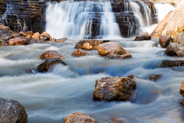 Piccola cascata in ruscello d'acqua