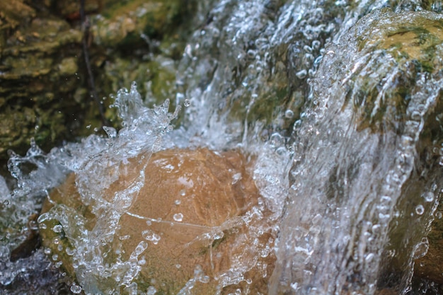 Piccola cascata in un giardino