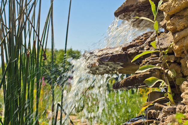 Piccola cascata in un giardino