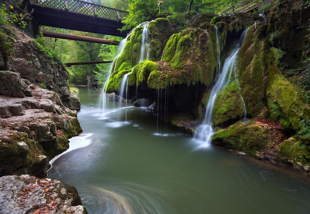 Piccola cascata nella foresta