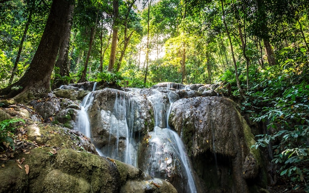 Piccola cascata nella foresta