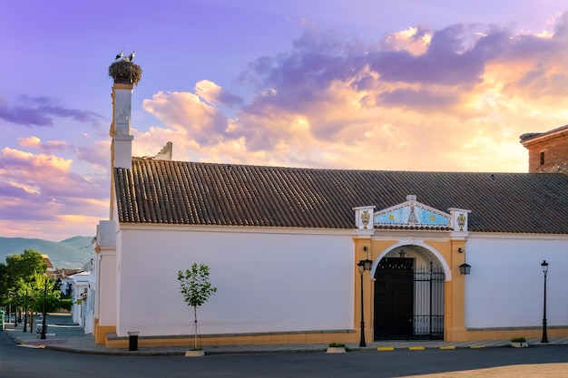 Piccola chiesa in un villaggio in spagna con cicogne nella sua torre al tramonto agudo ciudad real