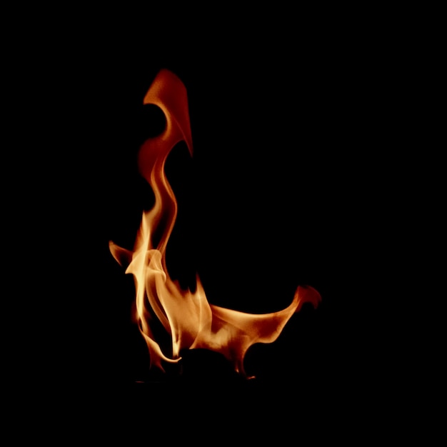 Piccola fiamma di fuoco