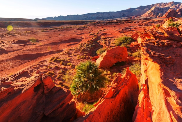 Piccola Finlandia vicino a Mesquite, Nevada, USA