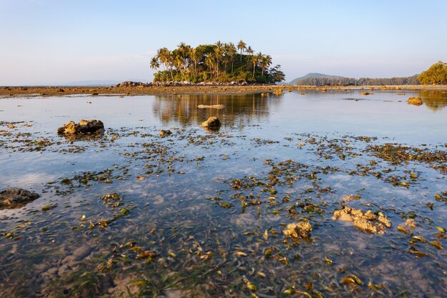 Piccola isola nel tramonto del mare tropicale o l'ora dell'alba con la bassa marea.