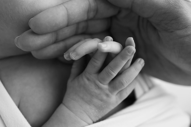 Piccola mano di un neonato con minuscole dita testa naso e orecchio di un neonato Palm mano dei genitori padre e madre di un neonato Studio macrofotografia in bianco e nero