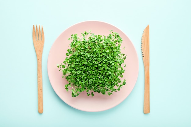 Piccola porzione di microgreens sul piatto rosa