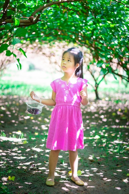 Piccola ragazza asiatica che guarda la frutta del gelso nel giardino