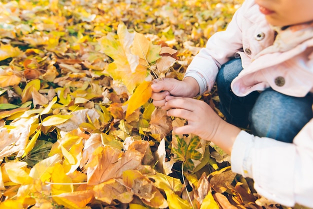 Piccola ragazza bionda sorridente del bambino sveglio al parco cittadino di autunno