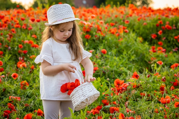 Piccola ragazza carina con un cesto con bouquet di papaveri si trova in un campo di papaveri, Repubblica Ceca