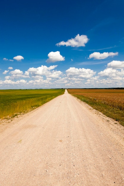 Piccola strada di campagna