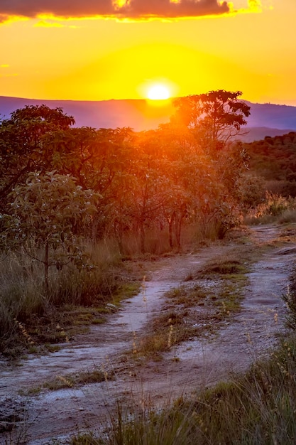 Piccola strada di terra attraverso le colline e la vegetazione nativa della foresta di Carrancas a Minas Gerais, in Brasile