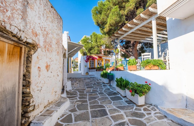 Piccola strada stretta del villaggio greco di lefkes con case bianche isola di paros