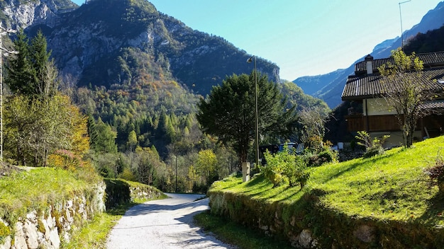 Piccola strada sulle dolomiti immersa nel paesaggio naturale, Italy