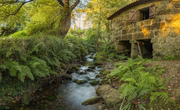 Piccola vecchia casa in pietra in una foresta vicino a un piccolo fiume