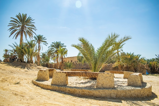 Piccola vista a Gabal alMawta aka Montagna dei Morti nell'oasi di Siwa Egypt