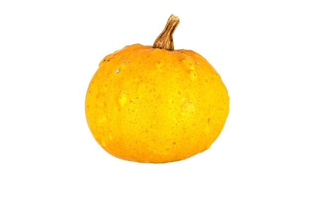 Piccola zucca arancione isolata