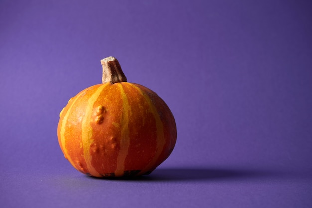 Piccola zucca strutturata su una parete viola. Decorazione di Halloween.