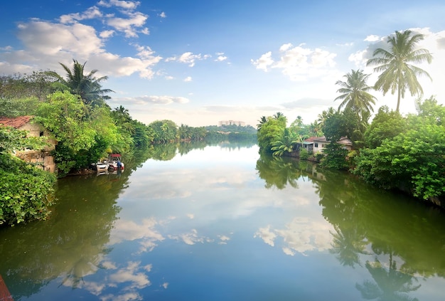 Piccole case su un fiume a Junles dello Sri Lanka