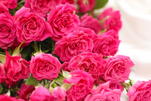 Piccole rose di cespuglio rosa su uno sfondo di seta bianca con un posto per il testo
