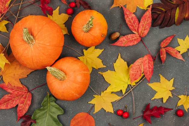 Piccole zucche arancioni e foglie di acero autunno su uno sfondo grigio scuro