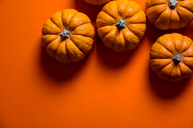 Piccole zucche su uno sfondo arancione brillante Sfondo di Halloween e ringraziamento